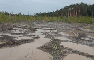 На Ровенщине на борьбу с янтарным промыслом отправили беспилотники