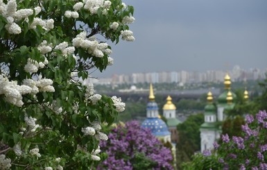 Киев утонул в аромате сирени