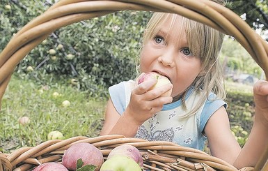 Обхитрить яблоню: как заставить дерево плодоносить