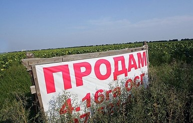 Эксперт: Право аренды земли могут начать продавать