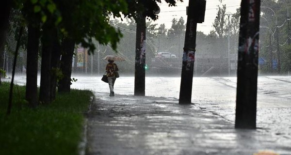 Завтра, 15 июня, пройдут кратковременные дожди