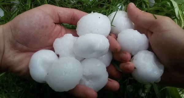 На Закарпатье град с куриное яйцо побил крыши, автомобили и урожай