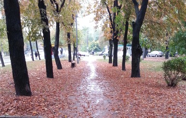 Погода на воскресенье: уходим в минус, зато будет сухо