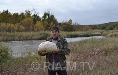 В Мелитополе нашли гигантский гриб-дождевик