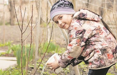 Октябрь - оптимальное время, чтобы посадить плодовые деревья