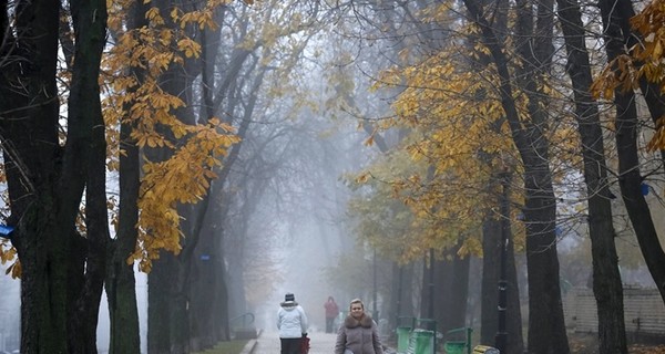 Сегодня днем, 1 ноября, без осадков