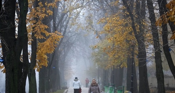 Завтра, 2 ноября, ночью от 5 мороза до 5 тепла Местами дожди с мокрым снегом