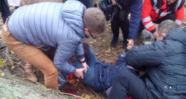 В Ужгороде ребенка привалило упавшим деревом