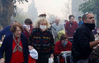 В Израиле арестовали подозреваемых в поджоге леса