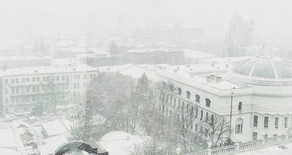 В Киеве снежная метель: фото