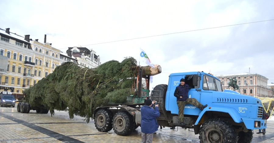 В Киев привезли главную елку страны