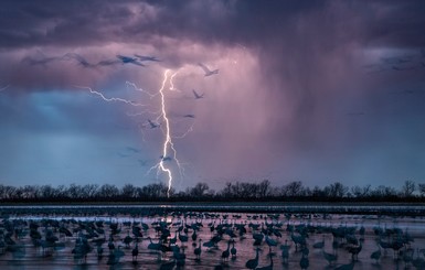 Издание Nature опубликовало лучшие научные снимки 2016 года