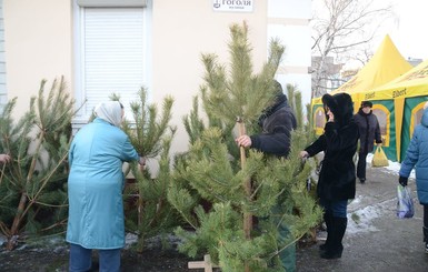 В Черкассах 