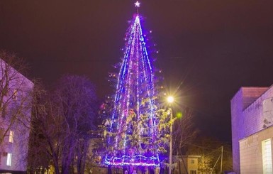 На Полтавщине растет самая высокая новогодняя елка