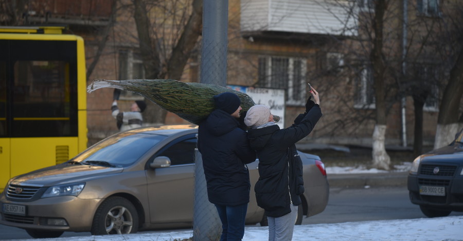 Как киевляне готовятся к Новому году: фото