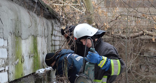 В Днепре собаку спасали с помощью болгарки