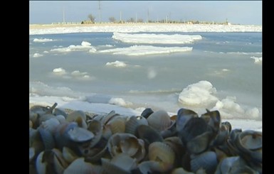 Бердянскую косу сковали льды