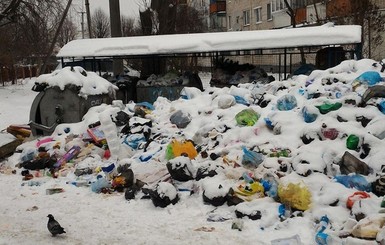 Из Львова начали вывозить мусор