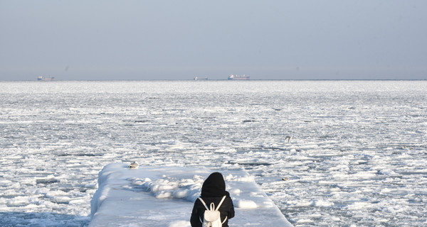 Черное море сковало льдами