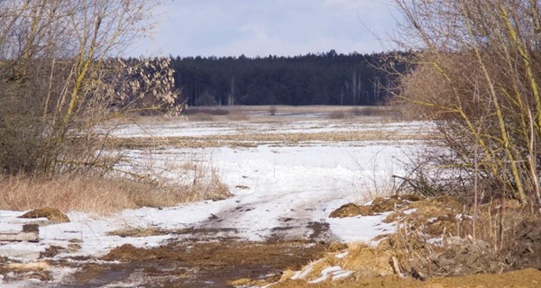 Харьковская полиция опубликовала фото с места сожжения юной девушки 