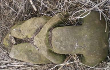 На Днепропетровщине нашли половецкого идола стоимостью в десятки тысяч долларов