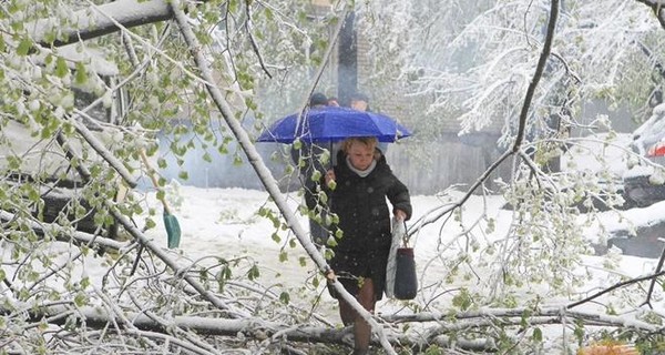 Похожий снегопад в апреле случился после Чернобыльской катастрофы