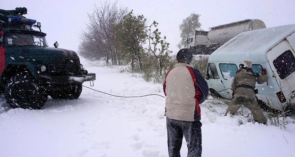 Из-за непогоды в Украине рухнули почти 4 тысячи деревьев