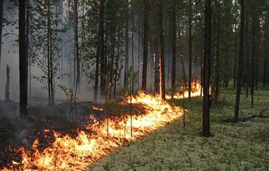 Японские спасатели неделю не могут потушить пожар возле Фукусимы-1