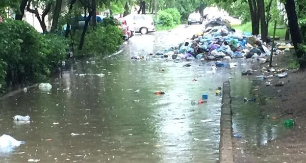 Во львовском мусоре завелись крысы, которые бегают по улицам