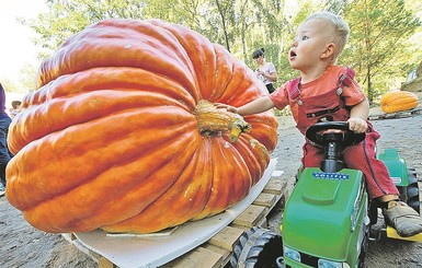 С тыквой на ты 