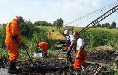 На Житомирщине пытаются достать из болота рухнувший бомбардировщик