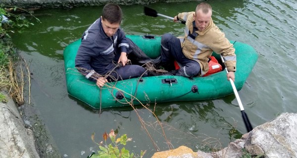 В Кировоградской области в пруду утонули двое детей, их бабушка и ее сожитель 