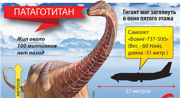 Самый крупный зверь на земле весил 69 тонн