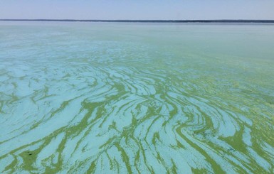 Каневское море стало похожим на картину художника-экспрессиониста