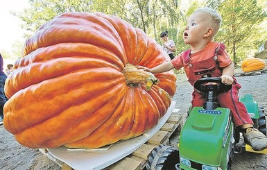 Топ-5 осенних продуктов, на которые стоит 