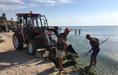 Кабмин приказал углубить Азовское море