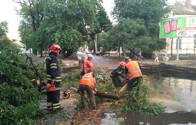 Бабье лето отменяется: в ближайшие дни Украину ждут вихри и шквальный ветер