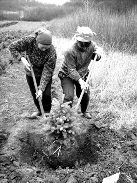 В Севастополе пойманы старушки-разбойницы  