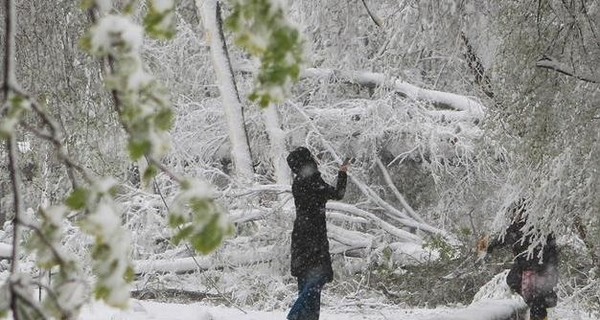 Сегодня днем, 31 октября, в большинстве регионов пройдет мокрый снег с дождем