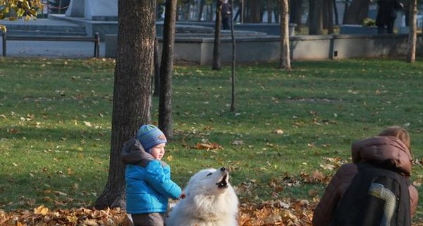 В Украину идет потепление