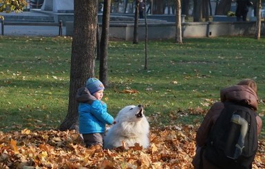 В Украину идет потепление