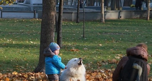 В воскресенье, 5 ноября, в Украине без осадков