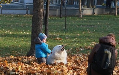 В воскресенье, 5 ноября, в Украине без осадков