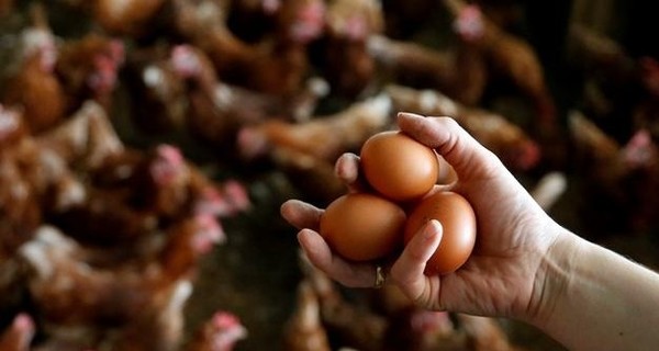 4 простых продукта для выздоровления после ОРВИ