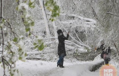 Завтра, 29 ноября, местами до 8 мороза