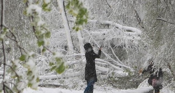 В гидрометцентре рассказали, когда Украину перестанет засыпать снегом 