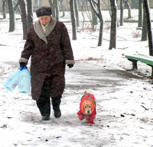 Непогода парализовала пол-Киева 