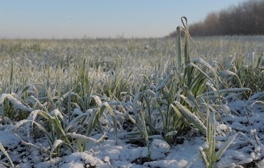 Завтра, 12 января, морозы усилятся по всей стране