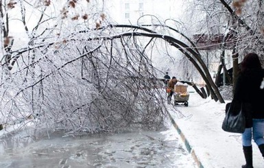 Сегодня днем, 23 января, до 9 мороза