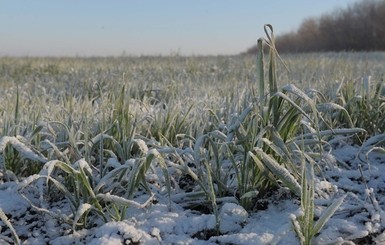 Сегодня днем, 24 января, до 11 мороза